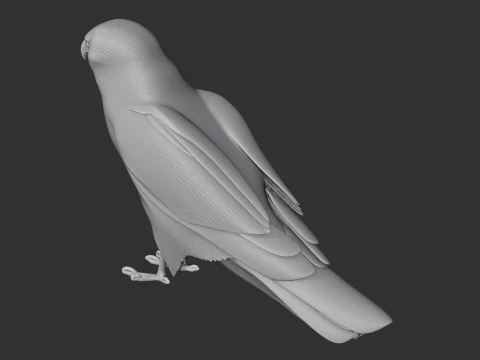 Hen Harrier 3D Model