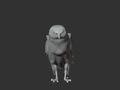 Hen Harrier 3D Model