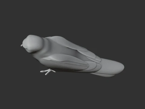 Hen Harrier 3D Model