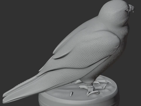 Lanner Falcon 3D Model