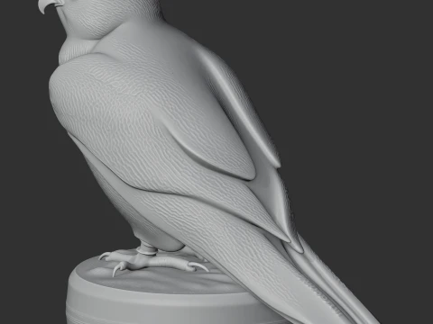 Lanner Falcon 3D Model