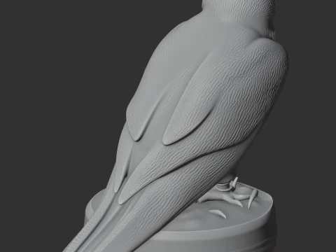 Lanner Falcon 3D Model