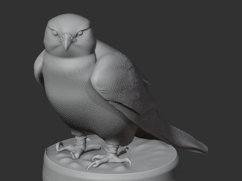 Lanner Falcon 3D Model