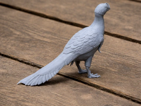 Microvenateur Modèle 3D