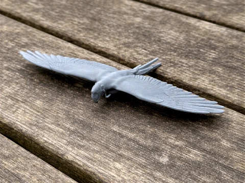 Ara militaire Modèle 3D