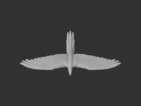 Military Macaw 3D Model