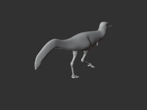 Mononykus 3D Model