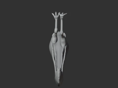 Mononykus 3D Model