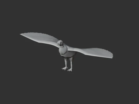 New World Vulture 3D Model