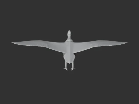 New World Vulture 3D Model