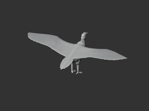 New World Vulture 3D Model