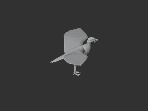 New World Vulture 3D Model