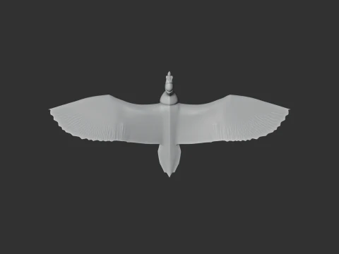 New World Vulture 3D Model