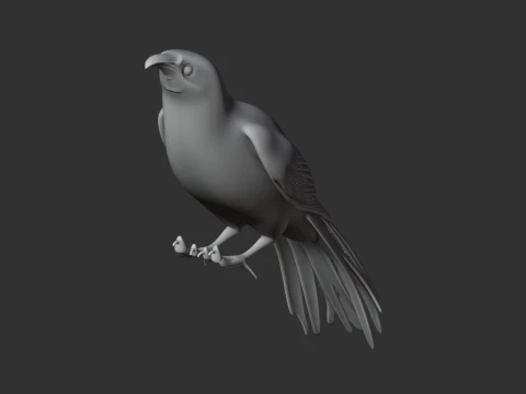 New Zealand Wattlebird Bird 3D Model