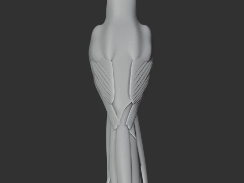 New Zealand Wattlebird Bird 3D Model