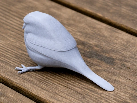 Oilbird Bird 3D Model