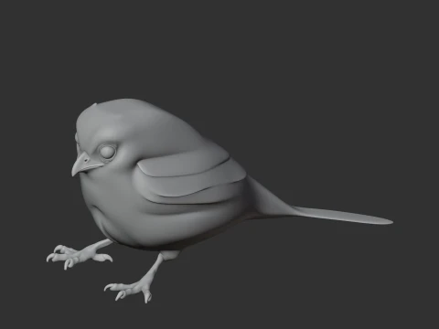 Oilbird Bird 3D Model