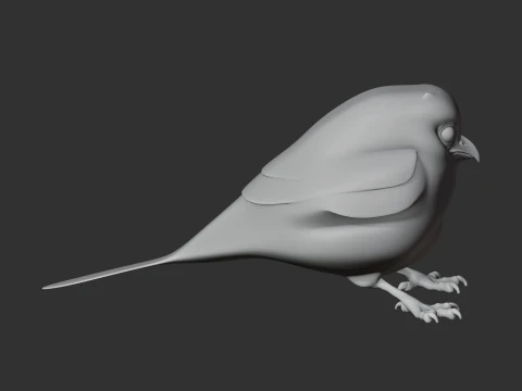 Oilbird Bird 3D Model