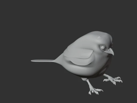 Oilbird Bird 3D Model