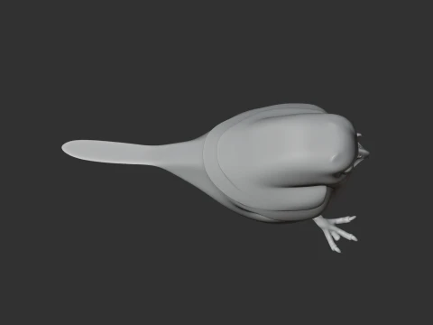 Oilbird Bird 3D Model