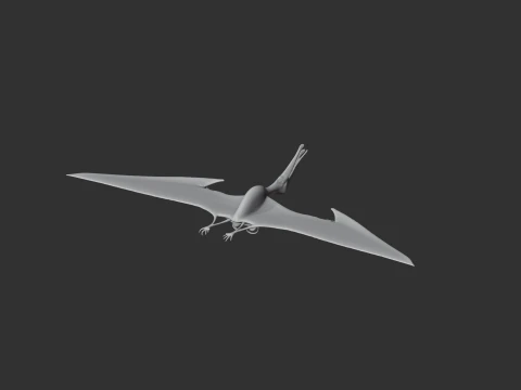 Ornithocheirus 3D Model