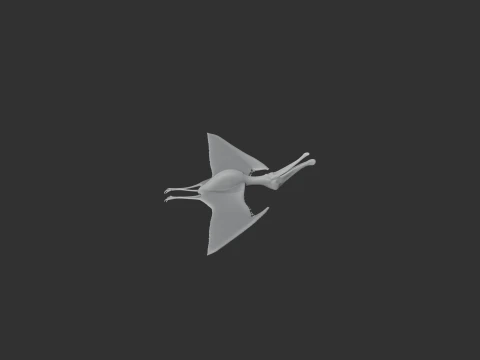 Ornithocheirus 3D Model