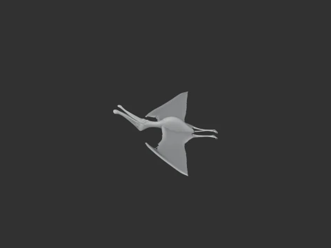 Ornithocheirus 3D Model