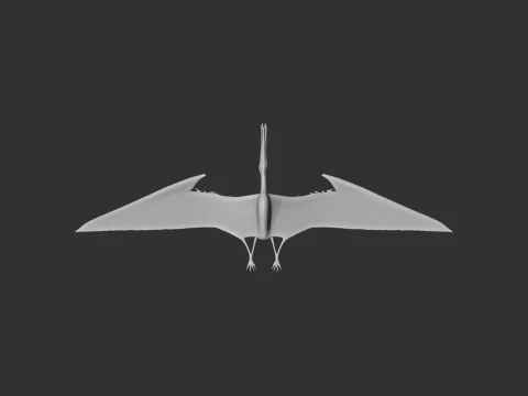 Ornithocheirus 3D Model