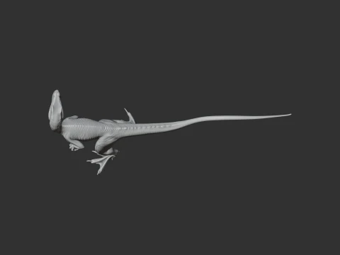 Overoraptor 3D Model