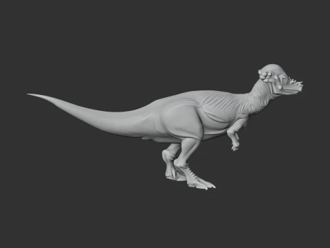 Pachycephalosaurus 3D Model