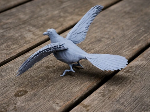 Painted-snipe Bird 3D Model