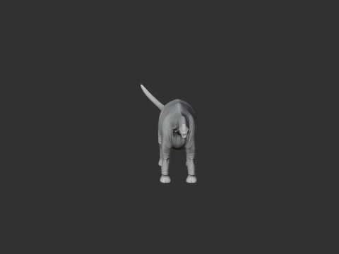 Paralititan 3D Model