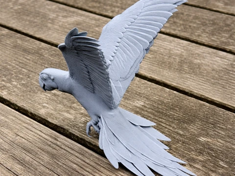 Parrot Modelo 3D