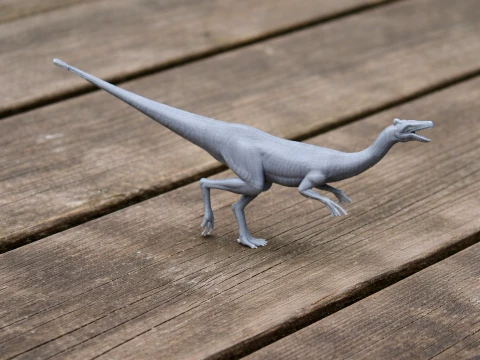 Pelecanimimus 3D 모델