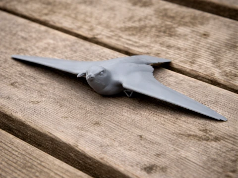 Petrel 3D Model