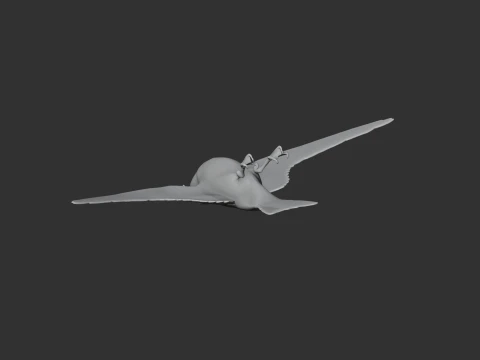 Petrel 3D Model