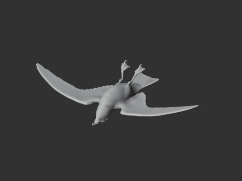Petrel 3D Model