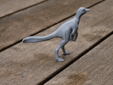 filovenador Modelo 3D