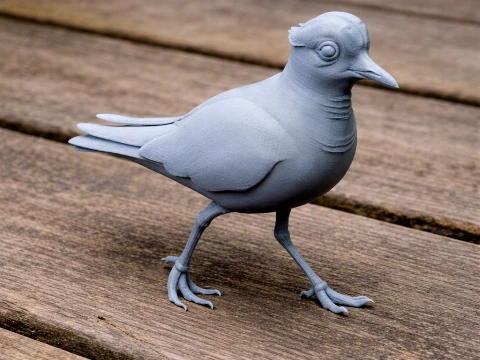 Plover 3D Model