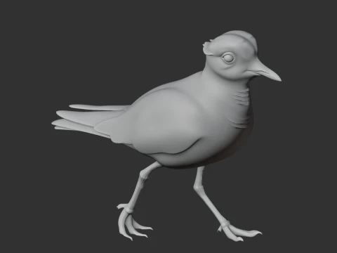 Plover 3D Model