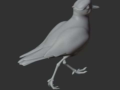 Plover 3D Model