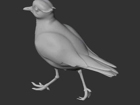 Plover 3D Model
