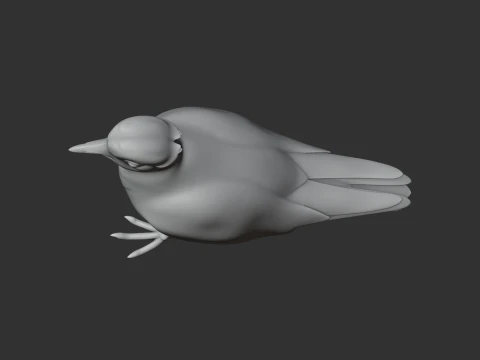 Plover 3D Model