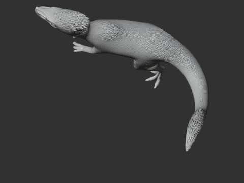 Proceratosaurus 3D Model