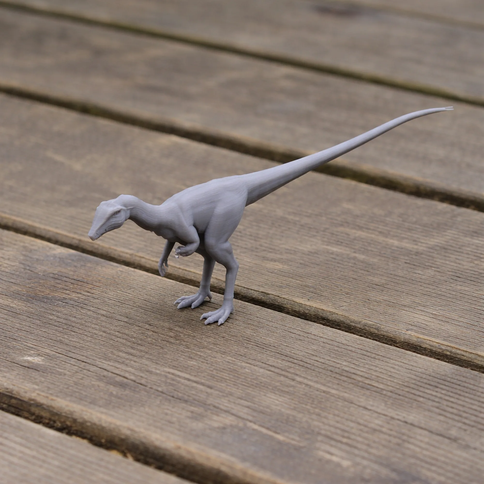Procompsognathus 3D Model .c4d .max .obj .3ds .fbx .stl .blend