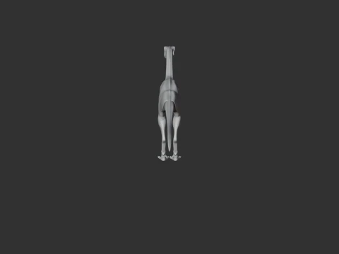 Procompsognathus 3D Model