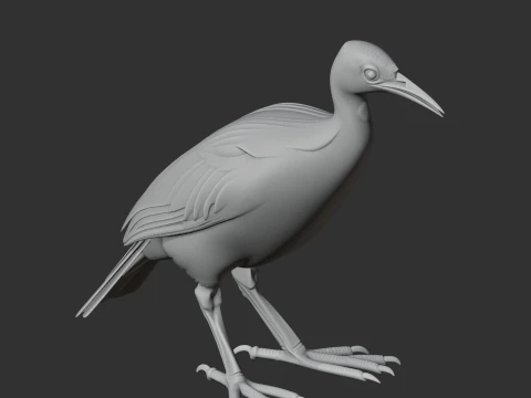 Rail Bird 3D Model