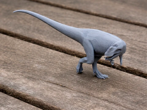 Rugops 3D Model