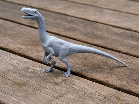 Segisaurus 3D Model