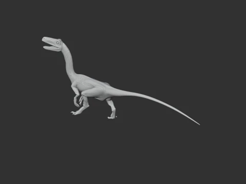 Segisaurus 3D Model